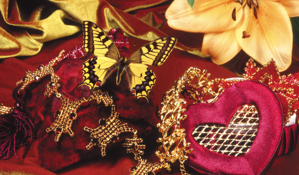 Бабочка и бархат