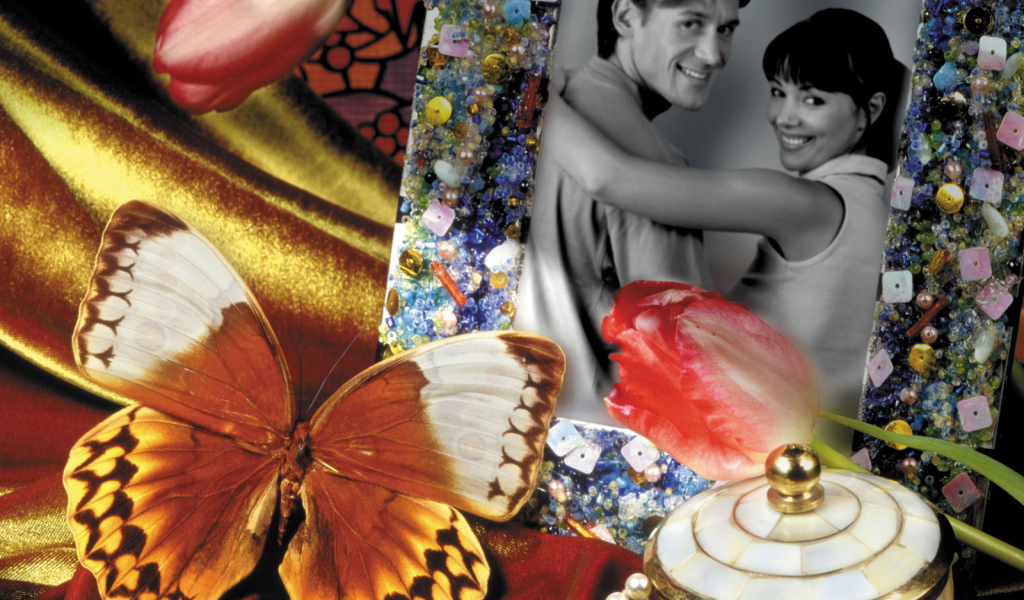 Бабочка у фотографии