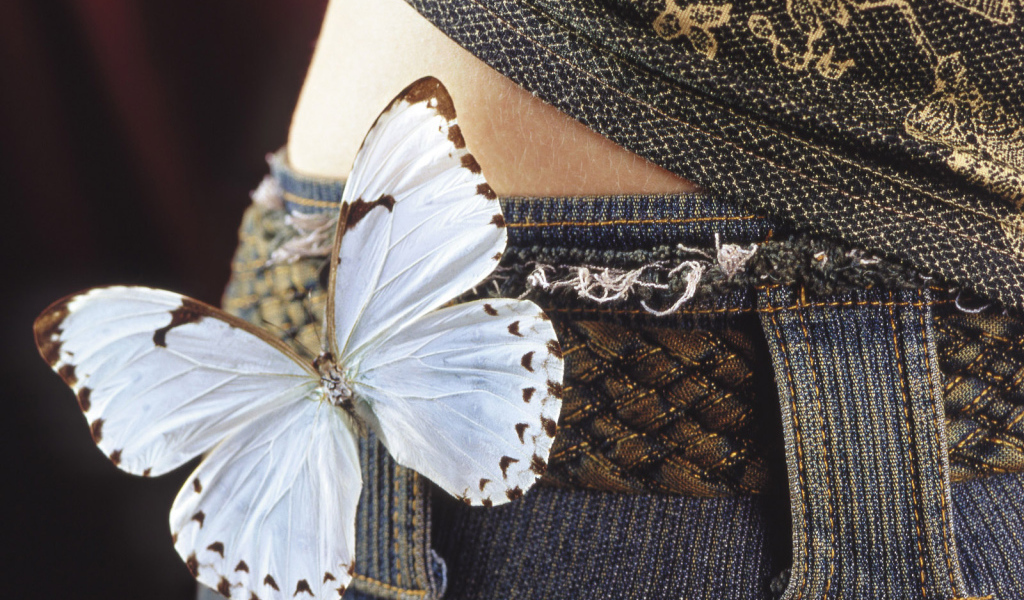 Бабочка на бедрах