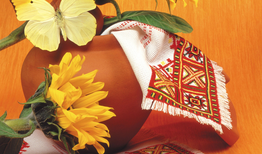 Красивая желтая бабочка на горшке