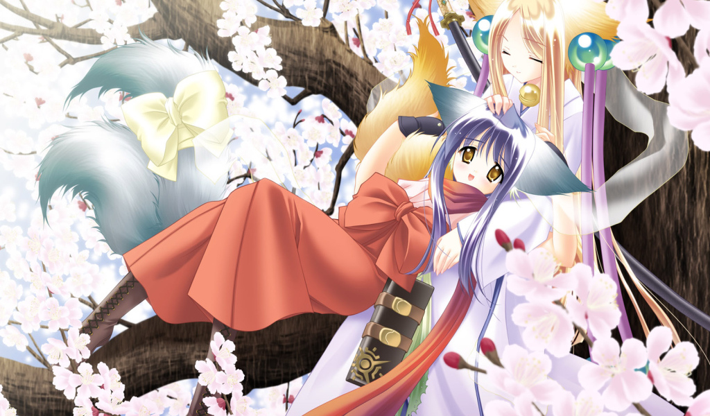 Под ветвями сакуры