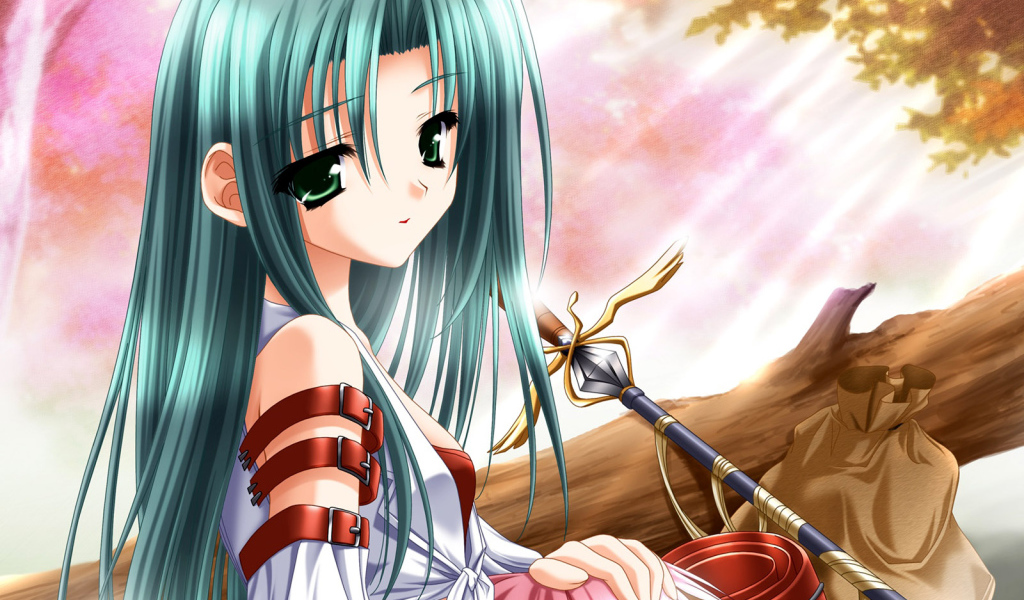 Путешественница