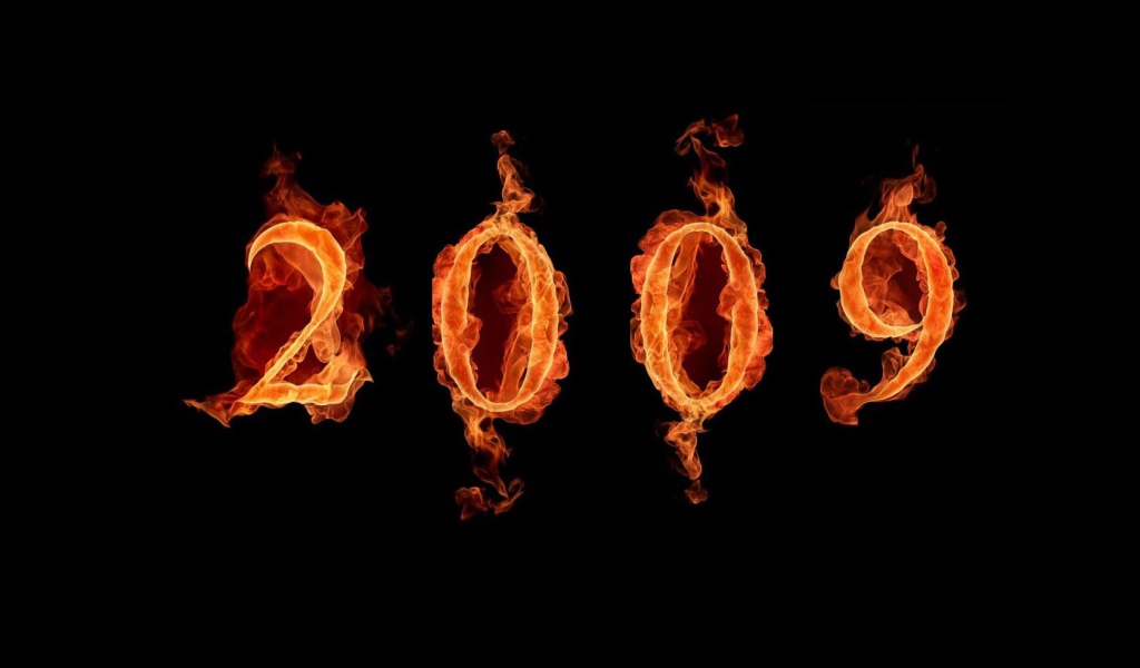 2009 год