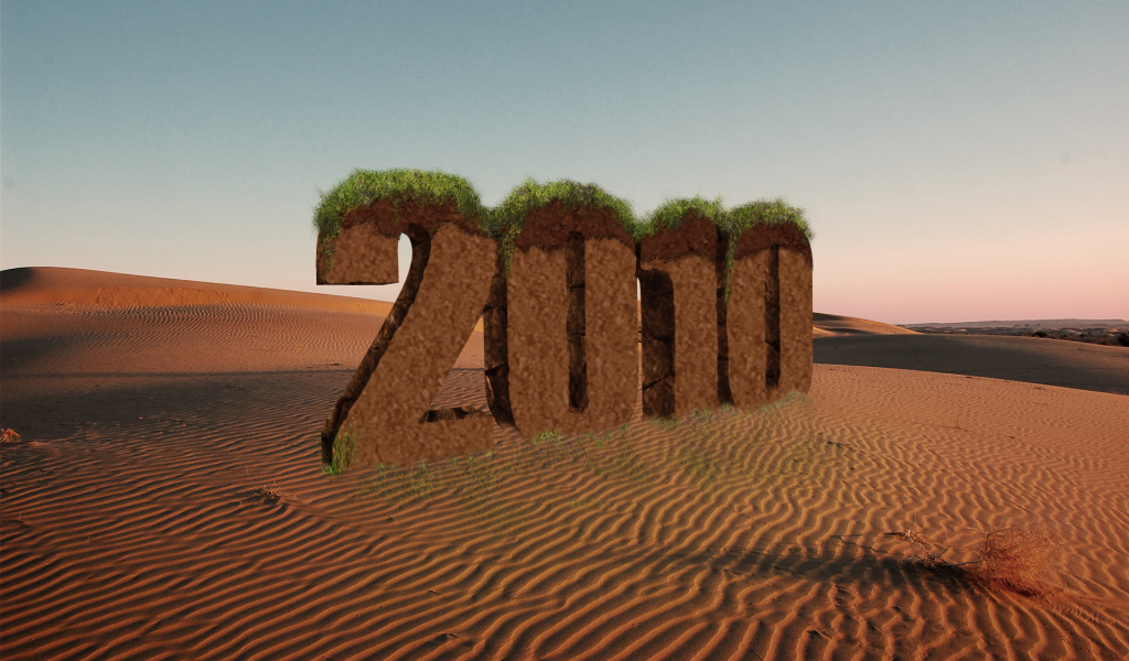 Новый год 2010 пустыня