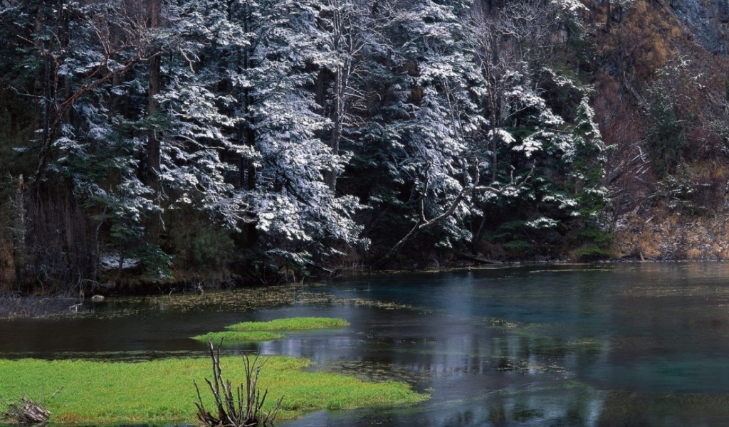 Ранняя зима