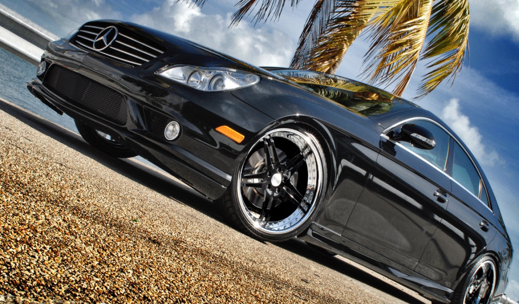 Черный Мерин