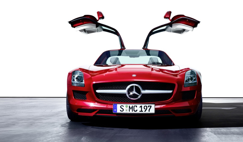 Красивый Мерин