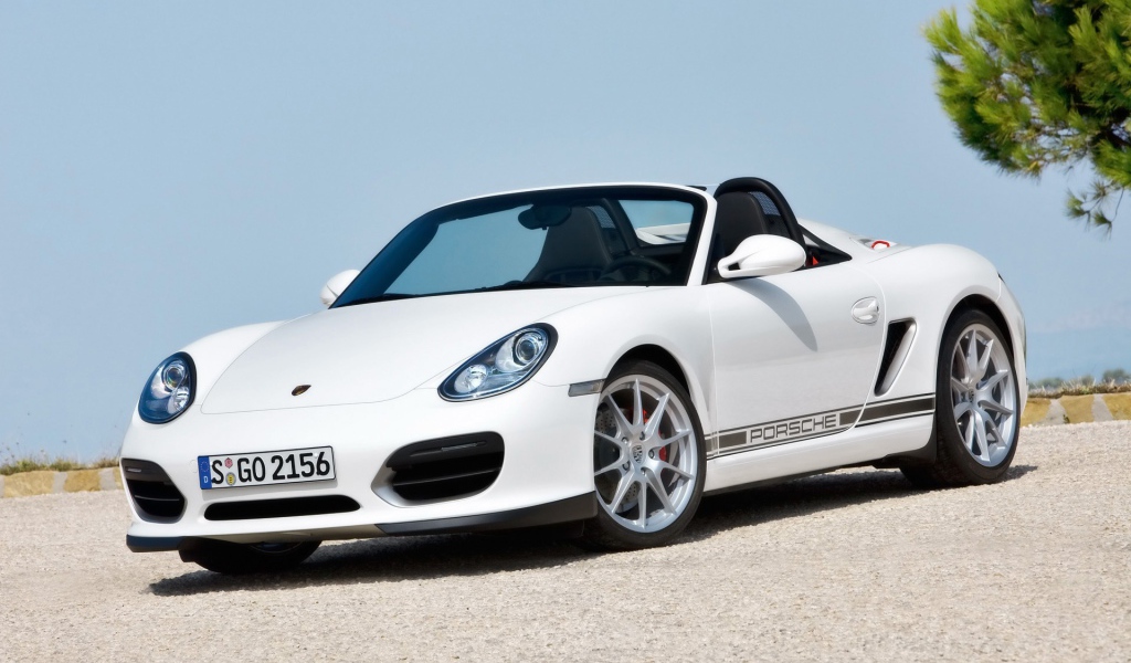 Porsche Boxster Spyder 2010