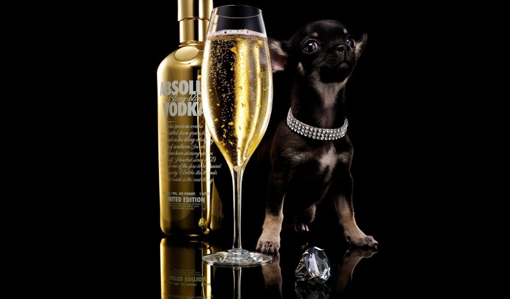 Реклама водки Absolute