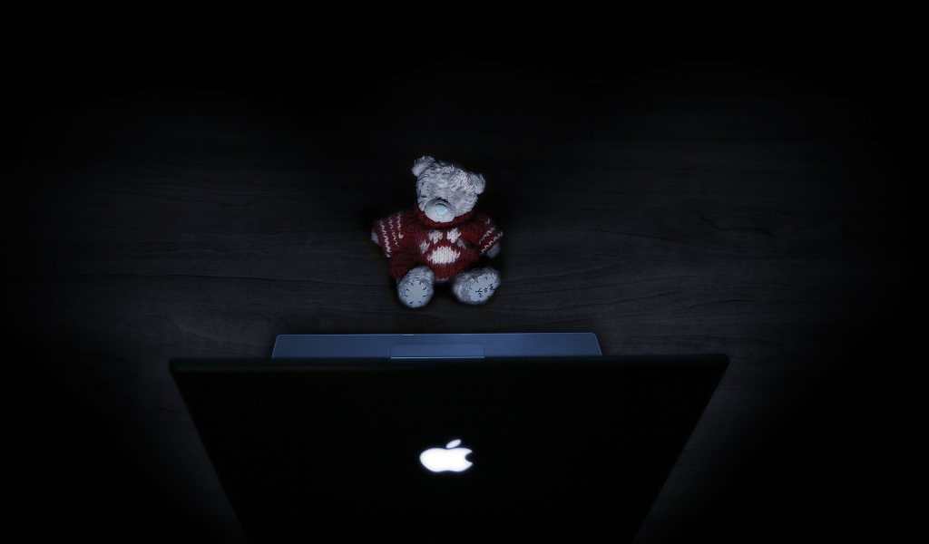 Игрушка у ноутбука