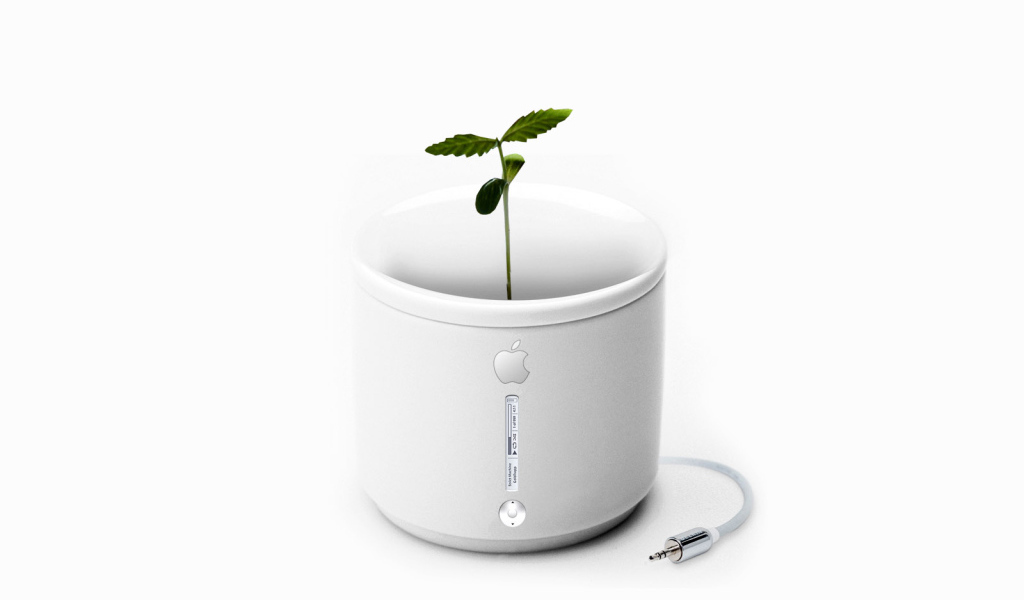 Apple iFlower