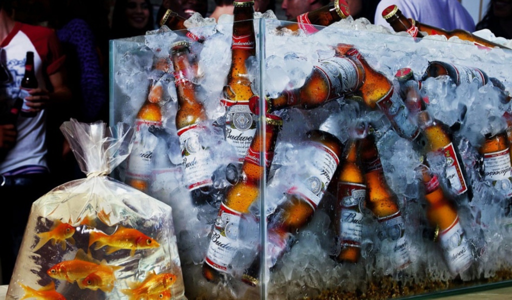 Аквариум с пивом