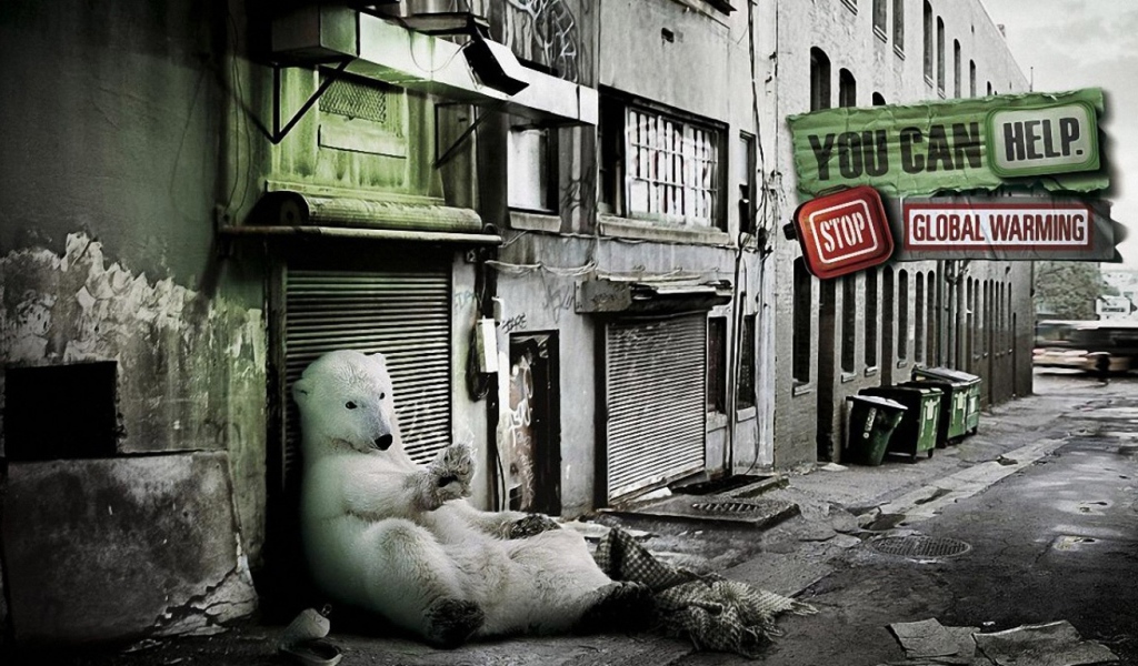 Медведь в городе