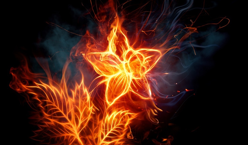 Пылающее растение