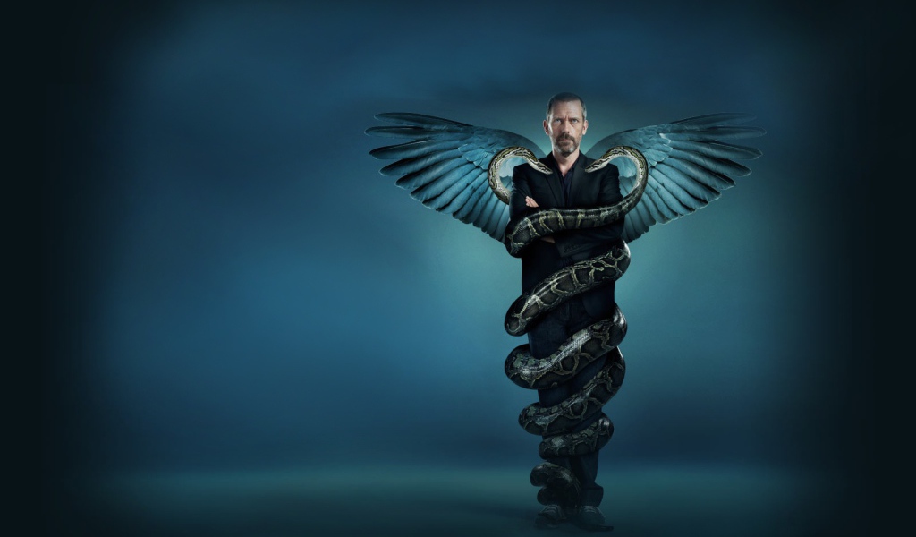 Хаос медицина