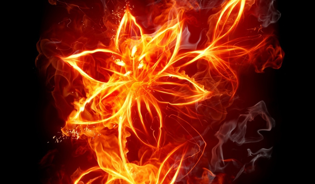 Цветок из огня