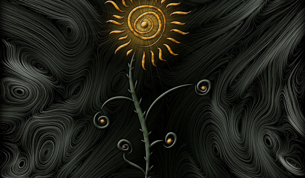 Цветок солнца