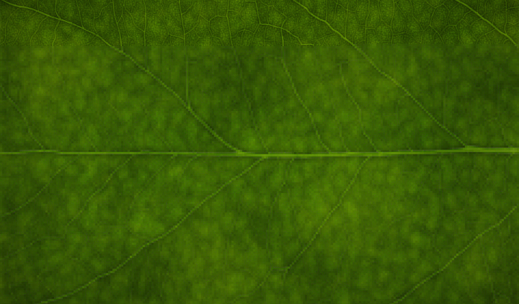 Зеленая листва