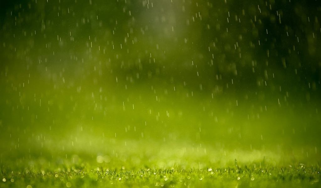 Зеленый дождь