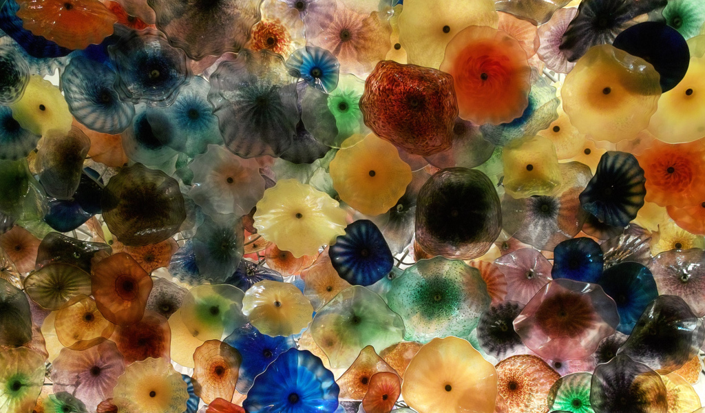 Разноцветные медузы