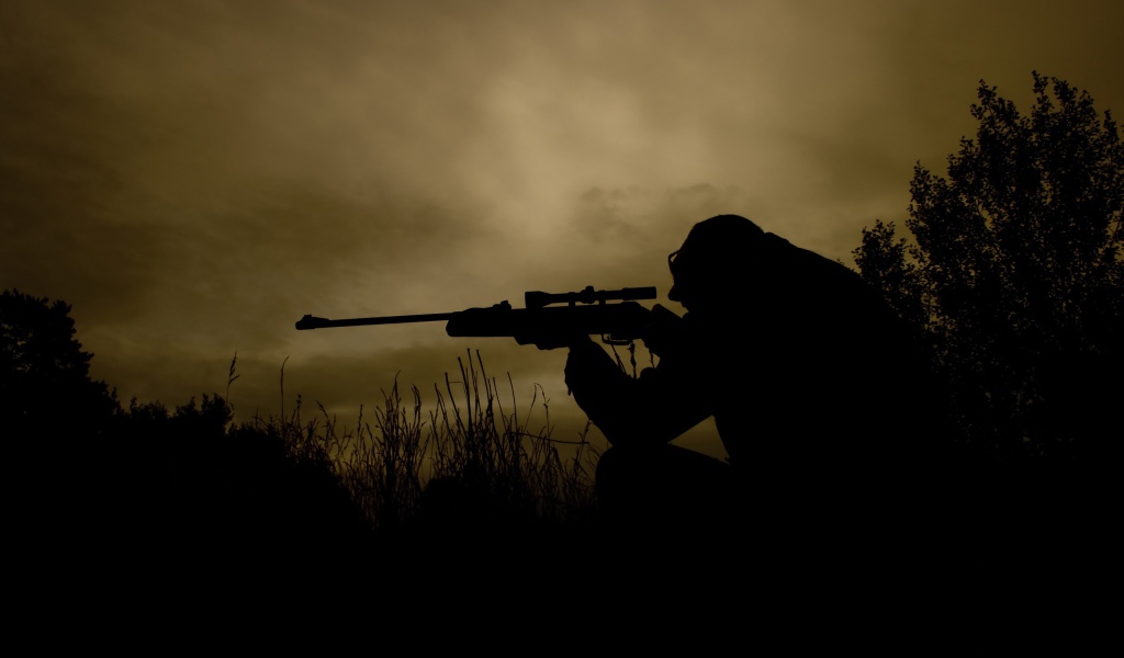 Ночной снайпер