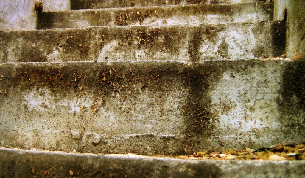 Старые ступеньки