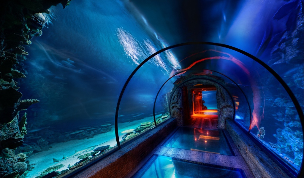 Подводный музей