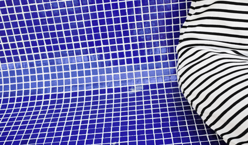 Зебра в бассейне