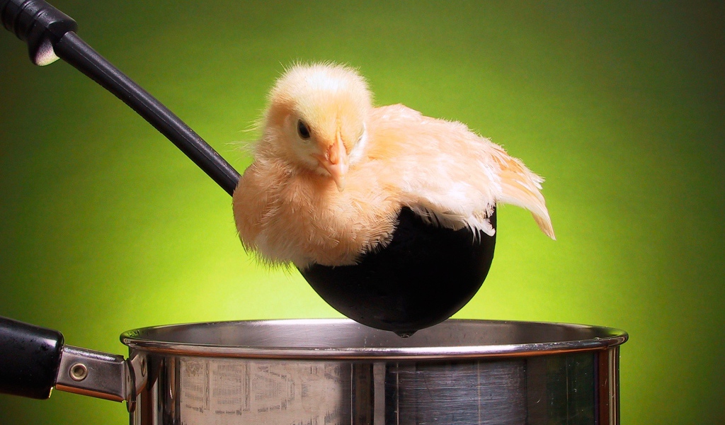 Попал в суп