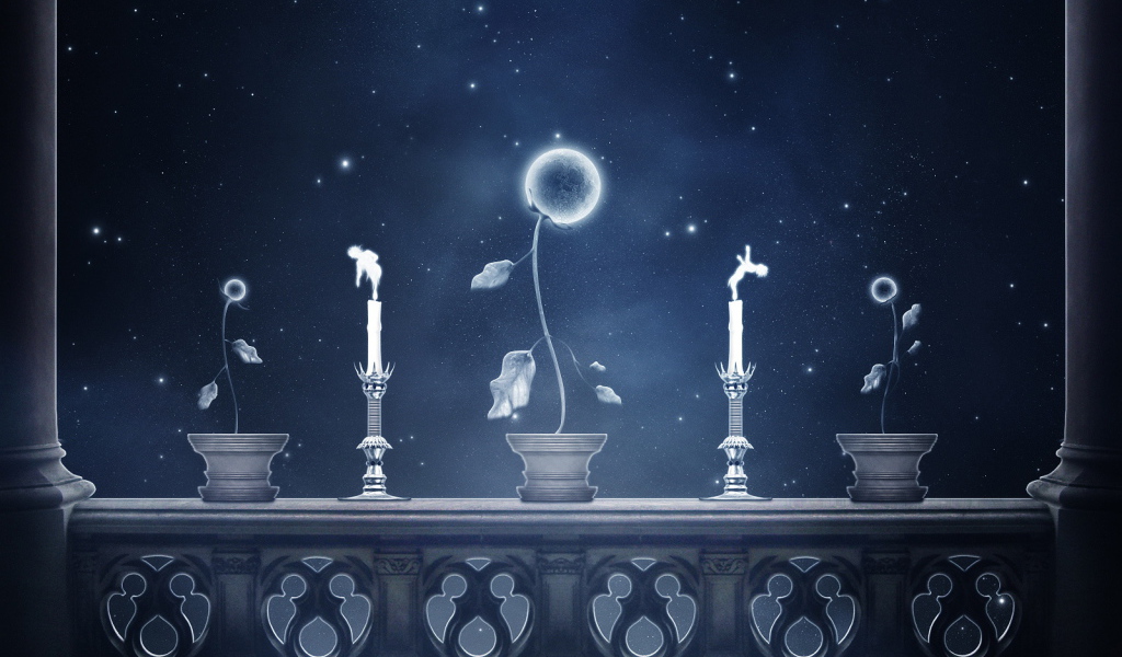 Небесные цветы