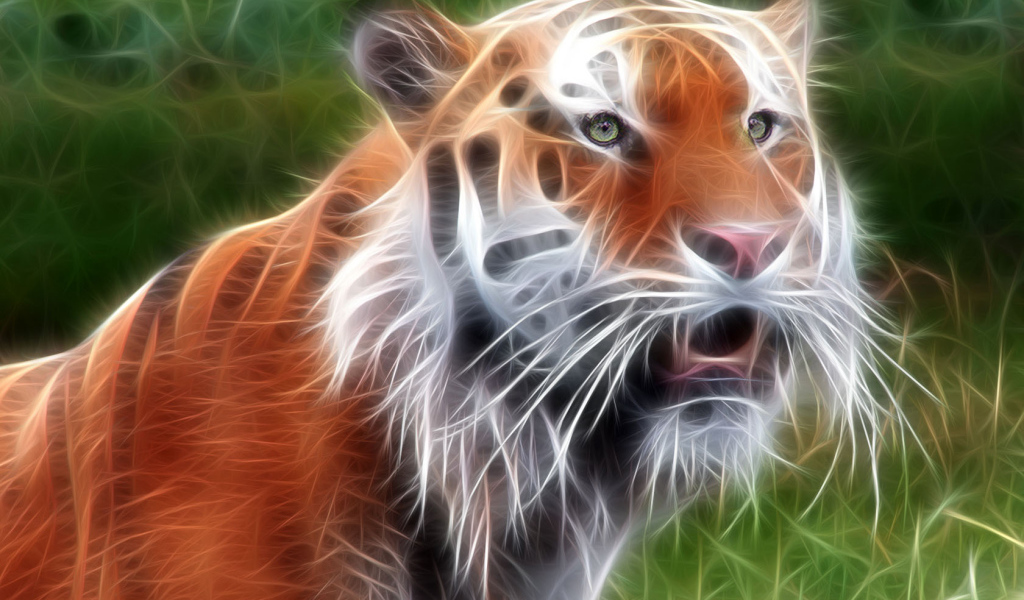 Красавец тигр