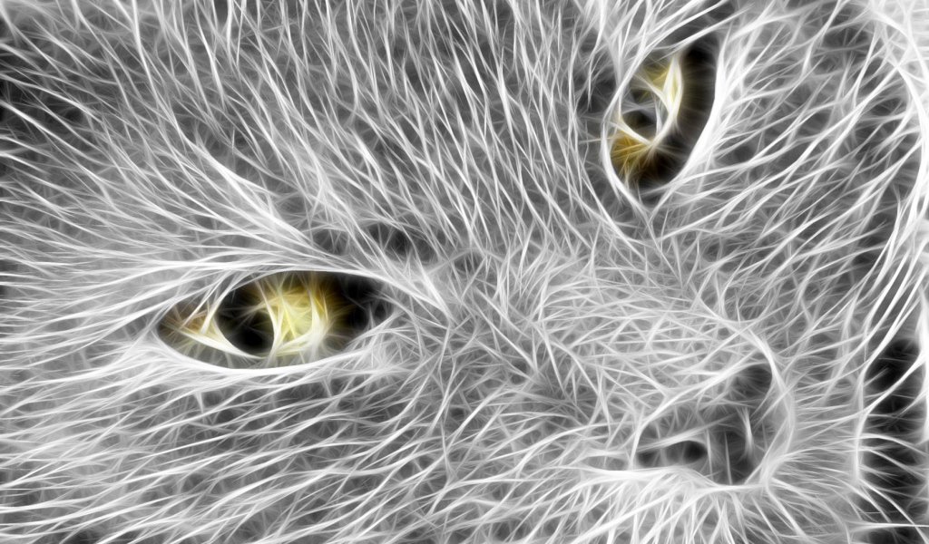 Кошачья мордочка