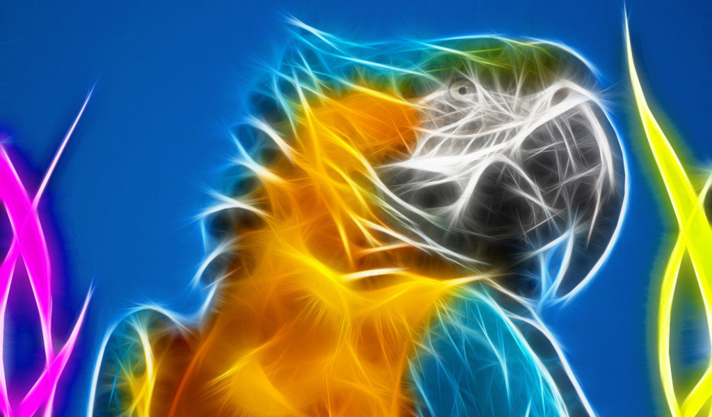 Разноцветный попугай