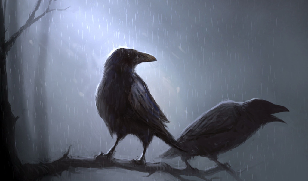 Вороны под дождем