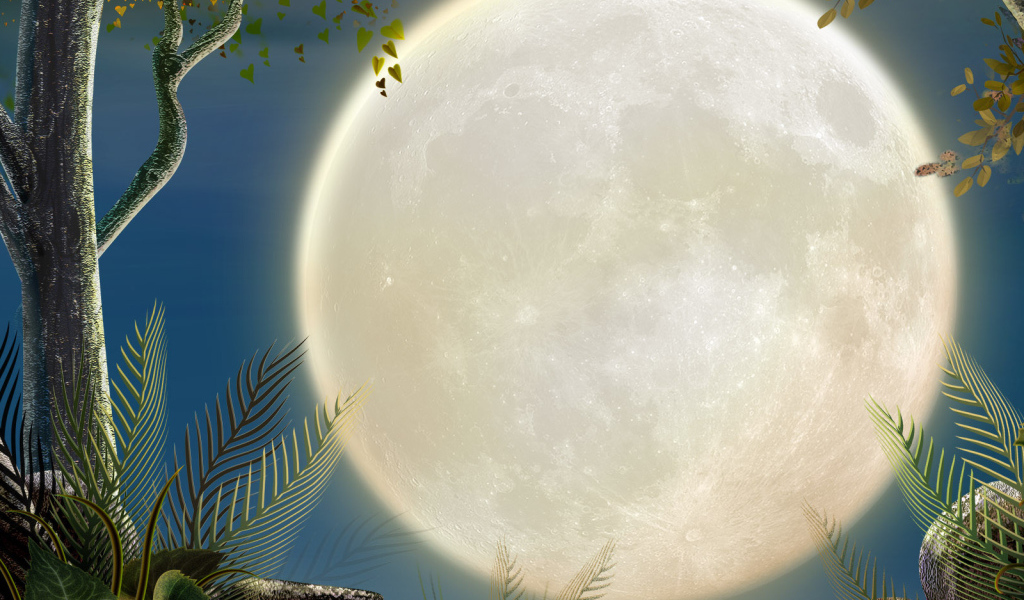 Полная луна