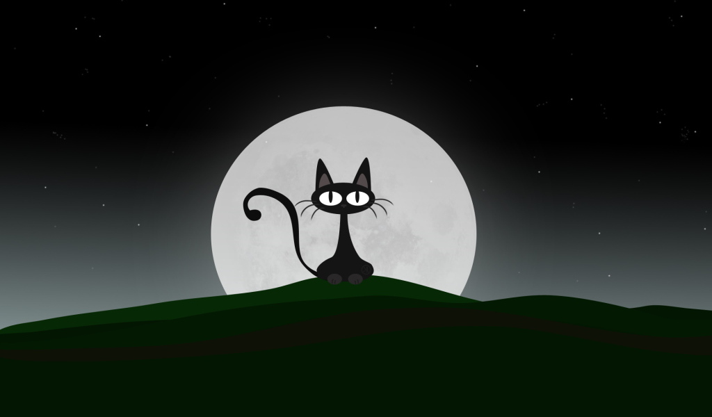 Ночная кошка