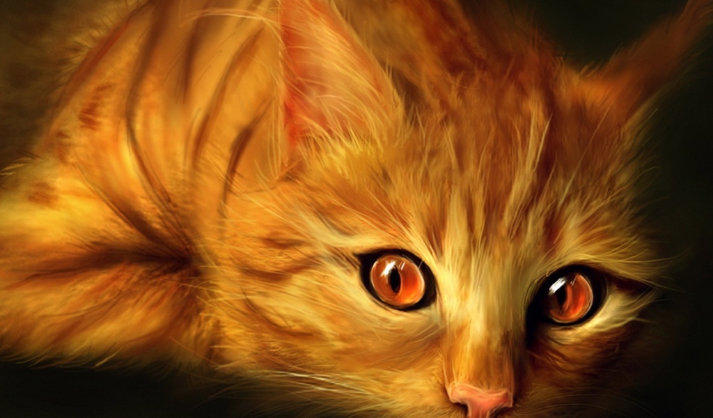 Рыжий кот
