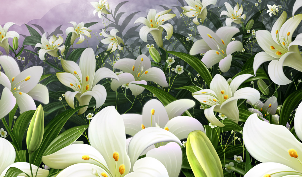 Поле белых цветов