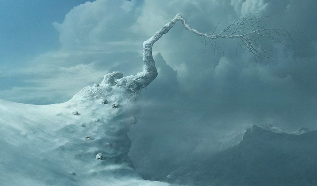 Вершина жизни