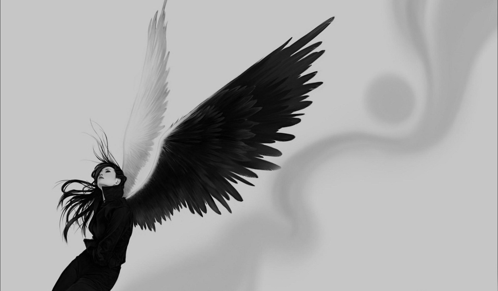 Крылья ангела