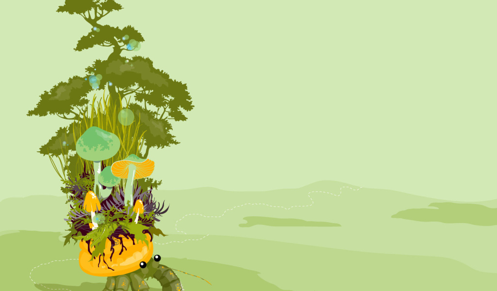 Грибы  на панцире