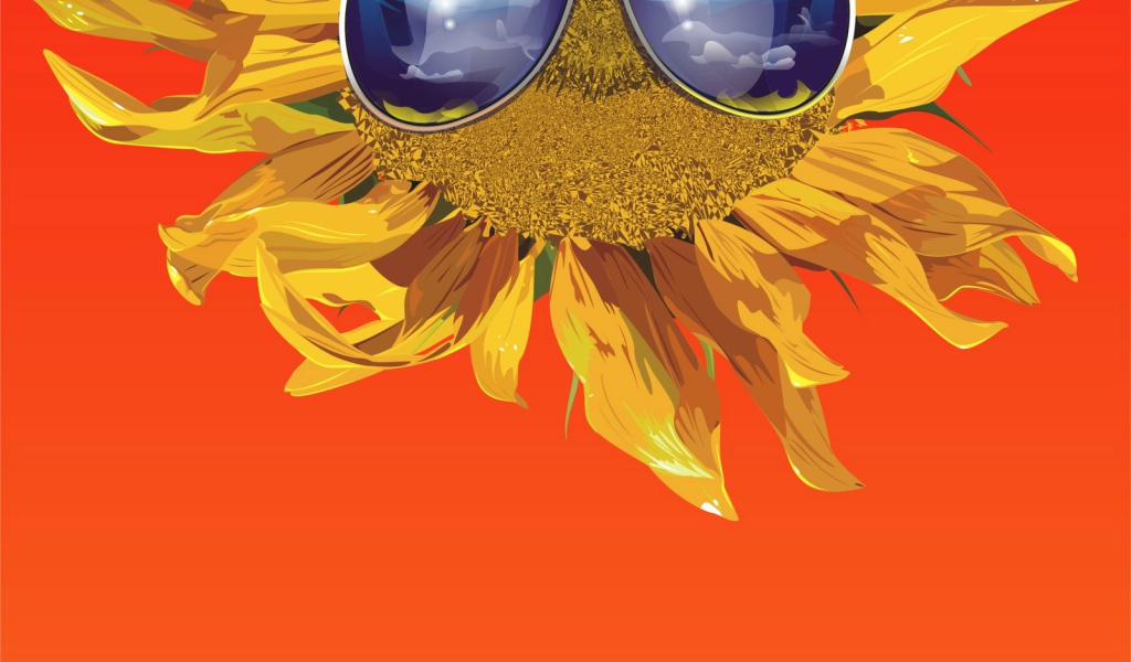 Солнечные очки