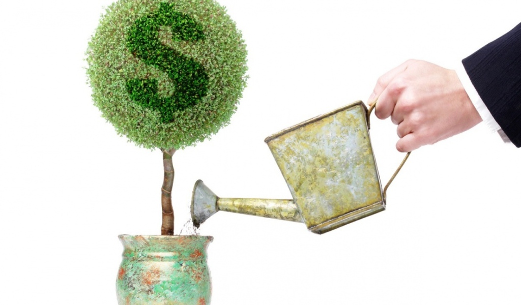 Денежное дерево