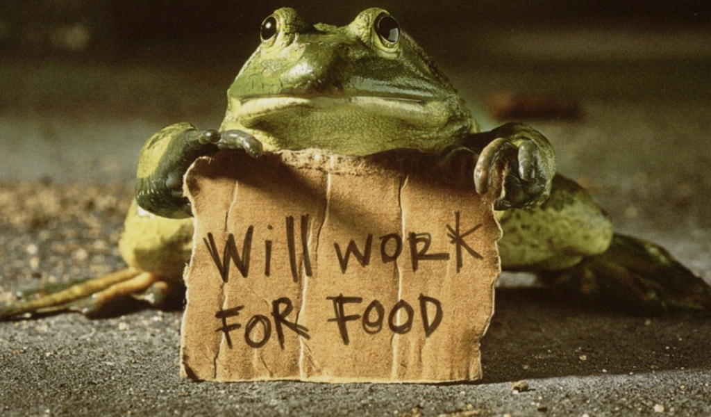 Готов работать за еду