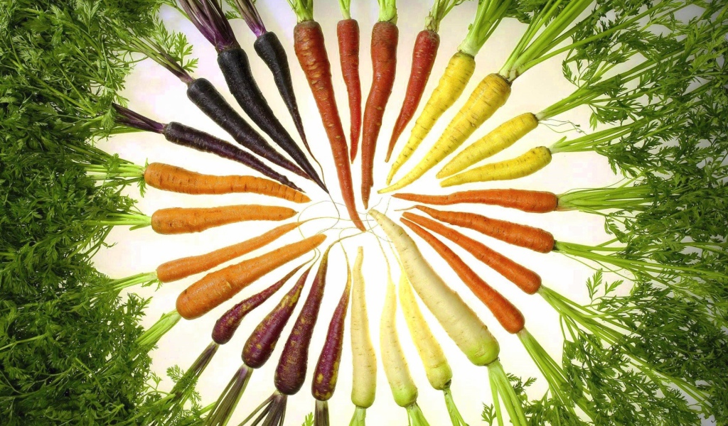 Цветная морковка