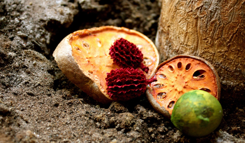 Сушеные фрукты