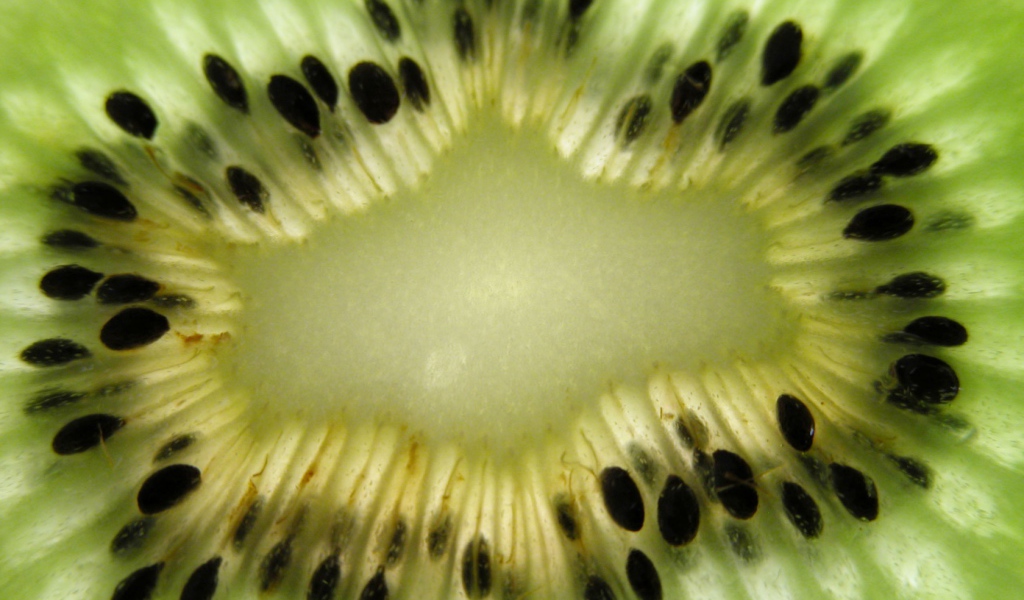 Мякоть киви