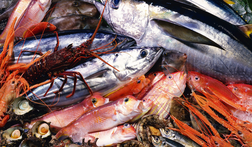 Морепродукты