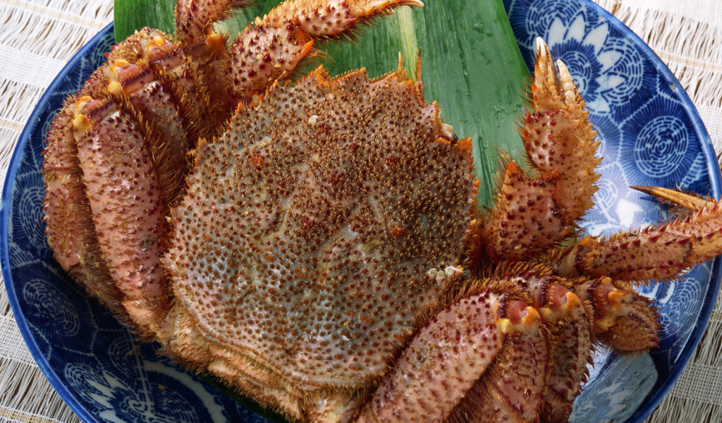 Колючий краб