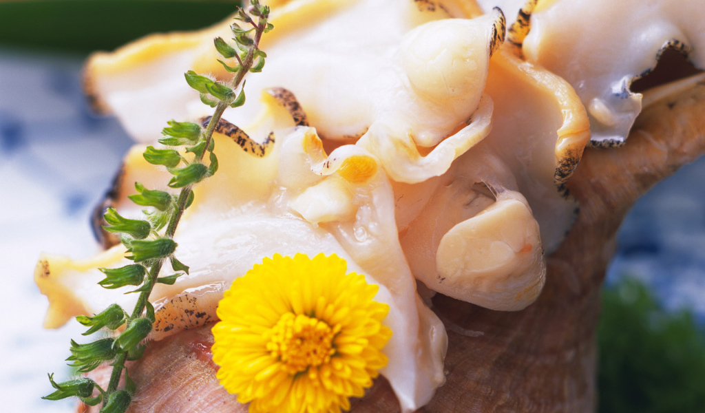 вкусный кальмар